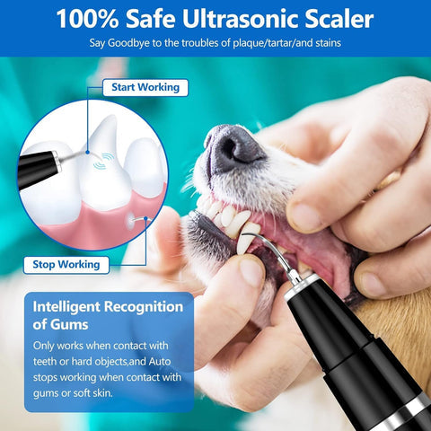 Limpiador de dientes para perros con ondas ultrasónicas, limpiador dental recargable para sarro, herramienta de limpieza dental para placa
