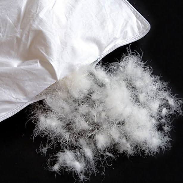 Luxurious Cotton Duvet | Breathable Fabric for Year-Round Comfort | King Size Duvet Insert