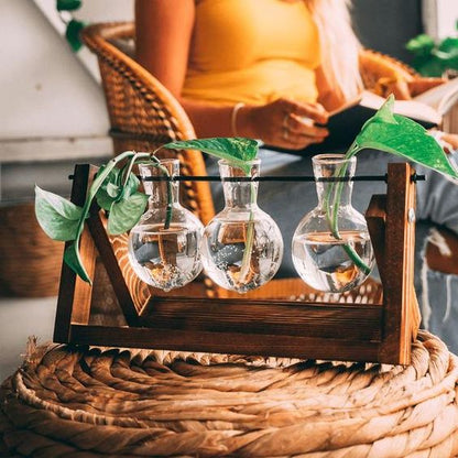 Wooden Desktop Glass Tube Rooting Station for Cuttings & Houseplants — Single, Double & Triple Holder Designs