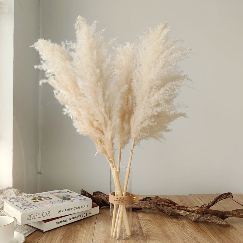 Tallos de hierba de las pampas natural y esponjosa para jarrones | Acentos florales secos de 16-30 pulgadas para decoración de estantes de sala de estar, centros de mesa para eventos, estilo boho
