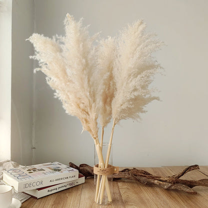 Tallos de hierba de las pampas natural y esponjosa para jarrones | Acentos florales secos de 16-30 pulgadas para decoración de estantes de sala de estar, centros de mesa para eventos, estilo boho