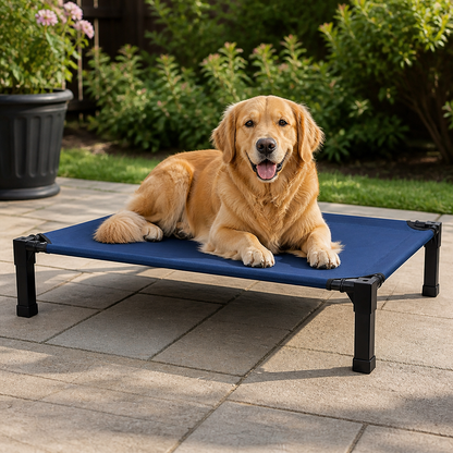 Ortekor Elevated Washable Breathable Mesh Dog Bed