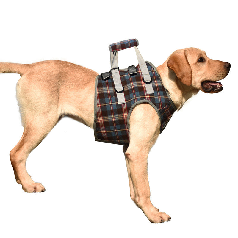 Rear Leg Support Harness for Dogs – Adjustable Lift Sling for Hip Stability, Arthritis & Mobility Assistance