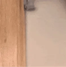 Herramienta de precisión para bordes de pintura para un acabado rápido e impecable