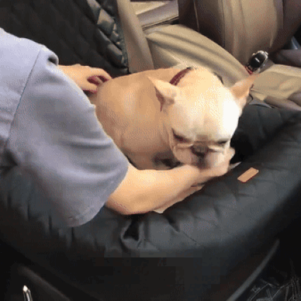 Cama para perros Comfort Pet | Cama de coche para perros con diseño seguro y acolchado mullido | Seguridad en los viajes para perros