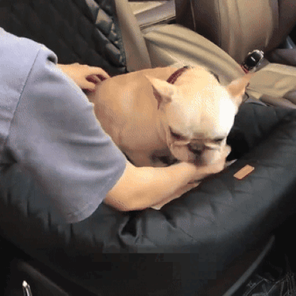Cama para perros Comfort Pet | Cama de coche para perros con diseño seguro y acolchado mullido | Seguridad en los viajes para perros