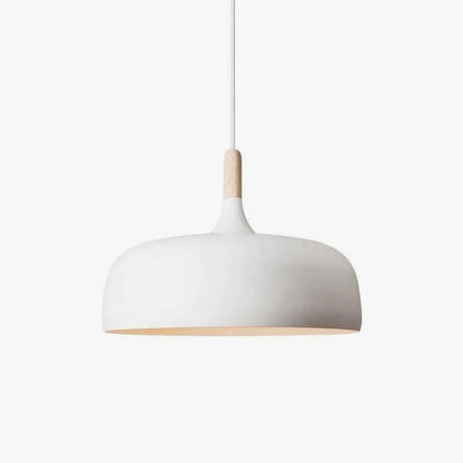 OAKGLEAM – Pendant Light for Soft and Elegant Illumination
