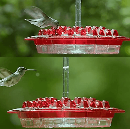 NECTARVAULT – 30 Port Hummingbird Feeder Ant Resistant Design