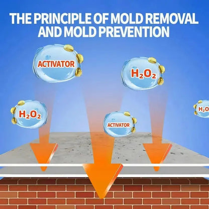 Mold Remover Spray for Walls, Tile Grout & Wood – Fast-Acting Odor Eliminator for Bathrooms, Basements & Kitchens