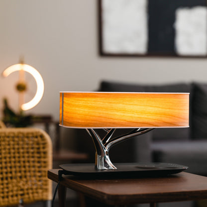 Wireless Charging Table Lamp with Bluetooth Speaker for Bedroom Nightstand Office Desk Living Room Modern LED Accent Light