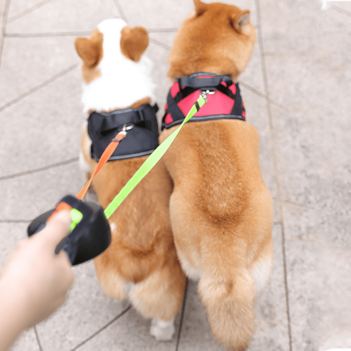 Twin Retractable Dog Leash 13 ft Dual Lead Tangle-Free Walking Two Dogs Reflective Built-In Flashlight Up To 88 lb Each