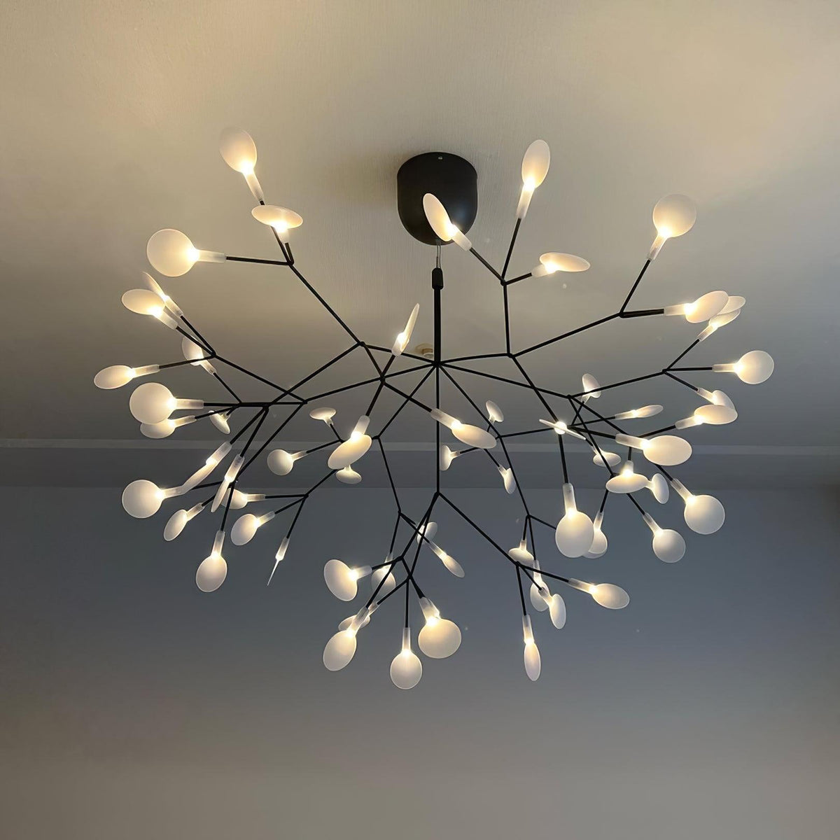 Branching LED Chandelier with Acrylic Petals Black Finish 20W Integrated Light Dimmable Remote Option Modern Statement Fixture Indoor Living