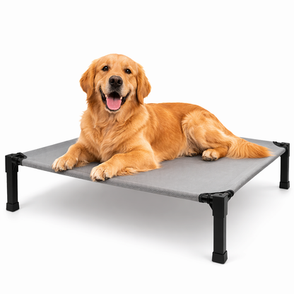 Elevated Dog Bed with Breathable Mesh Fabric & Chew-Proof Design for Ultimate Comfort