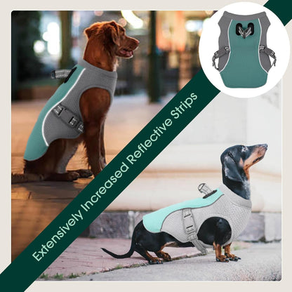 Cooling Dog Vest | Reflective Summer Harness with Quick-Release Buckles | Adjustable Fit for Comfort