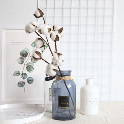 Cotton Branches