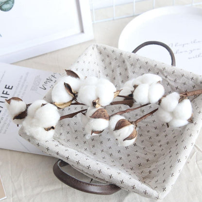 Cotton Branches