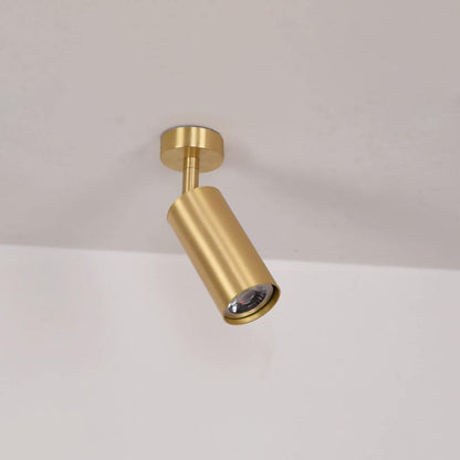 Pivoting Metal Track Spotlight Fixture 350° Swivel Wall & Ceiling Mount LED Accent Light for Living Room Bedroom Kitchen Gallery Art Display