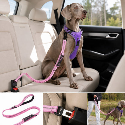 2-In-1 Reflective & Shock-Absorbing Dog Seat Belt Leash