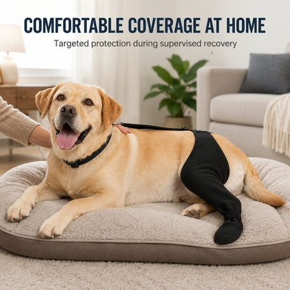 Funda de recuperación ajustable para pata trasera de perro (cubre pata cerrado)