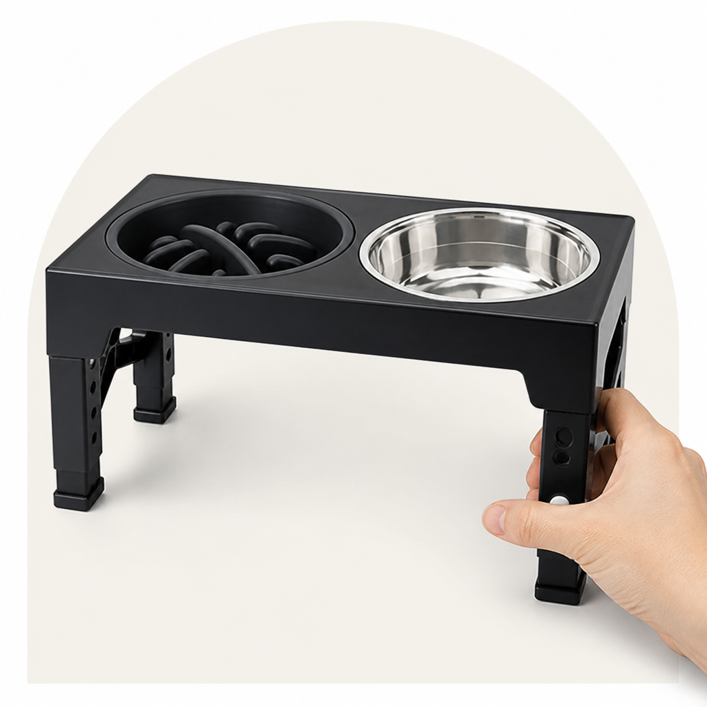 Ortekor Adjustable Elevated Double Stainless Steel Bowl Feeder