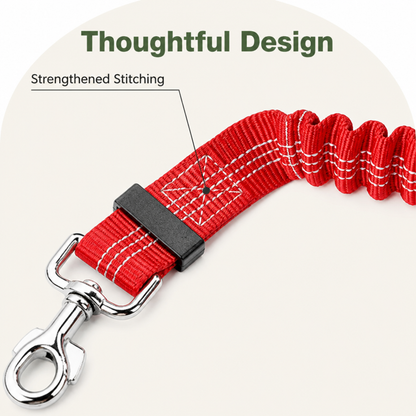 Ortekor Bungee Shock-Absorbing & Reflective Car Seat Leash (For Small-Medium Dogs)