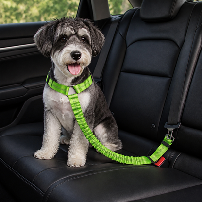 Ortekor Bungee Shock-Absorbing & Reflective Car Seat Leash (For Small-Medium Dogs)