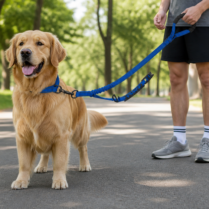 Ortekor Explosion-Proof Double-Sided Reflective Adjustable Dog Leash (Medium & Large)