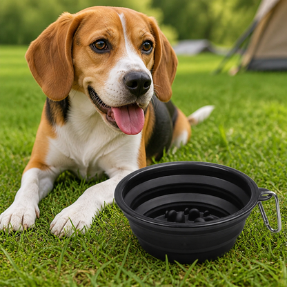 Ortekor Large Capacity Collapsible Travel Dog Bowl