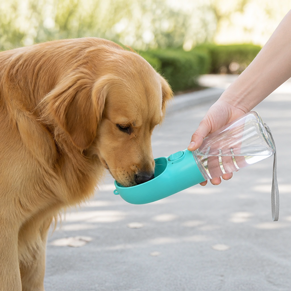 Ortekor Leakproof & Water-Saving Travel Water Bottle
