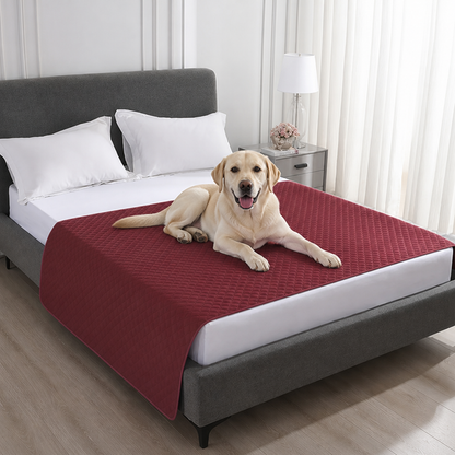 Ortekor Quilted Water-Resistant & Non-Slip Dog Bed Cover