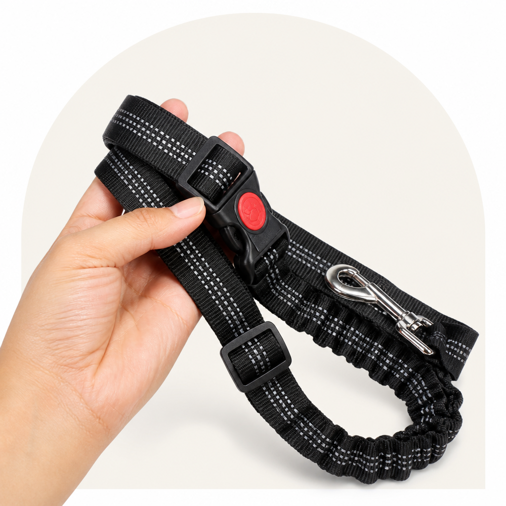 Ortekor Reflective & Adjustable Nylon Car Seat Belt (2-in-1)