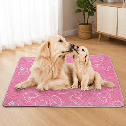 Ortekor Reusable Machine-Washable Non-Slip Pet Pee Pad