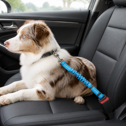 Ortekor Shock Absorbing Adjustable Seat Belt Tether