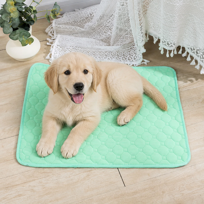 Ortekor Ultra Absorbent Quilted Pet Mat (Non-Slip Backing)