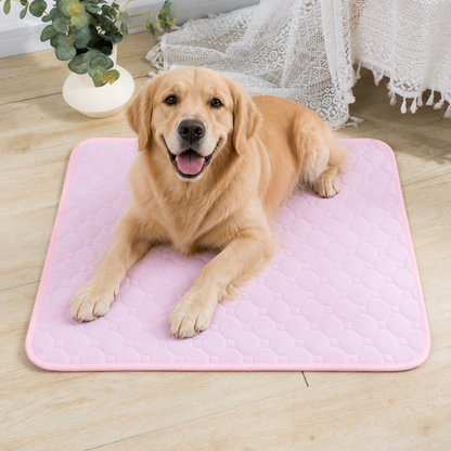 Ortekor Ultra Absorbent Quilted Pet Mat (Non-Slip Backing)