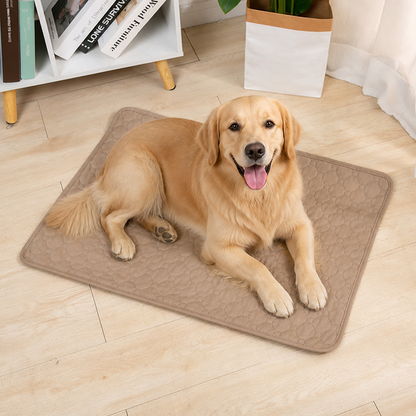 Ortekor Ultra Absorbent Quilted Pet Mat (Non-Slip Backing)