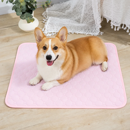 Ortekor Ultra-Absorbent Waterproof Quilted Training Pad (Machine Washable)