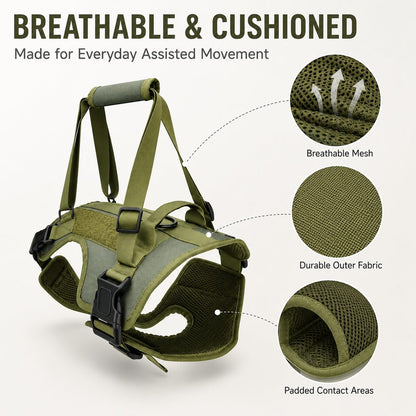Full-Body Padded Dog Mobility Harness (Adjustable Lift Straps)