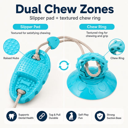Suction Cup Dog Chew & Tug Toy (Textured Dental Nubs)