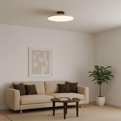 Swivel LED Flush Mount Ceiling Light 12 Inch Round Indoor Lamp Adjustable Directional Lighting for Bedroom Living Room Kitchen Dining Room T