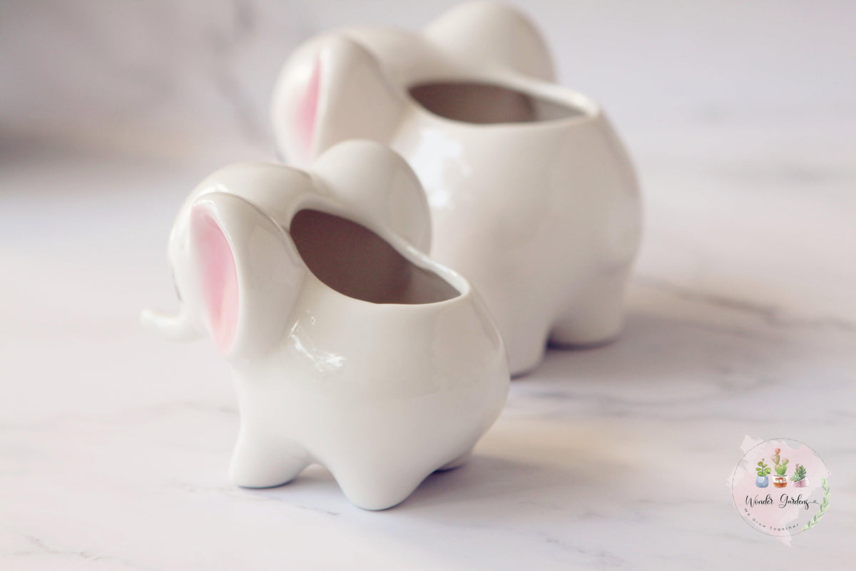 Ceramic Elephant Plant Pot
