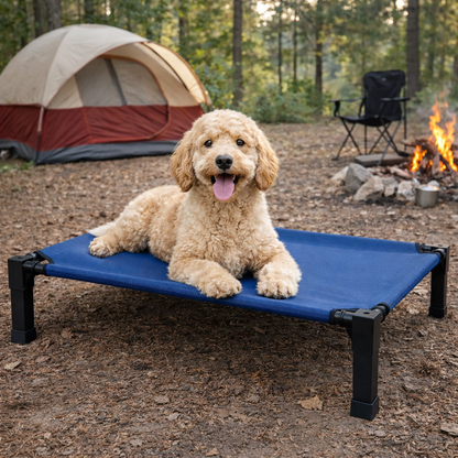Elevated Dog Bed with Breathable Mesh Fabric & Chew-Proof Design for Ultimate Comfort