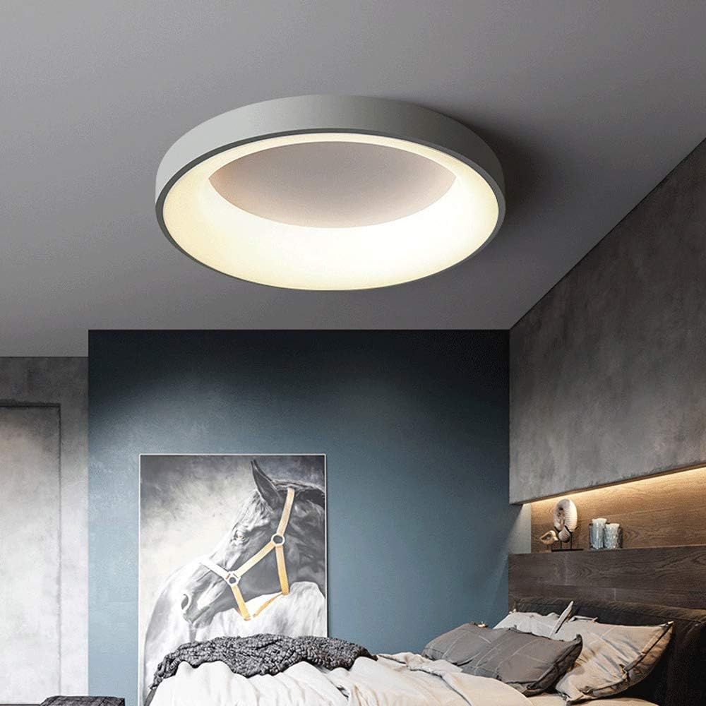 Round Flush Mount LED Fixture Iron Acrylic Low Profile for Bedroom Hallway Living Room Kitchen Dining Room Modern Minimalist Slim Design