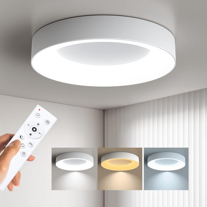 Round Flush Mount LED Fixture Iron Acrylic Low Profile for Bedroom Hallway Living Room Kitchen Dining Room Modern Minimalist Slim Design
