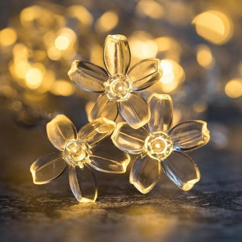 Twinkle Lights | Fairy LED String Lights with Decorative Bulbs | Versatile Indoor & Outdoor Illumination