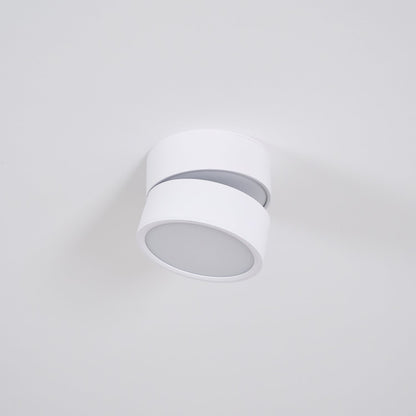 Adjustable Spotlight Ceiling Fixture 4 Inch Rotating LED Light for Artwork Living Room Gallery Black White Aluminum