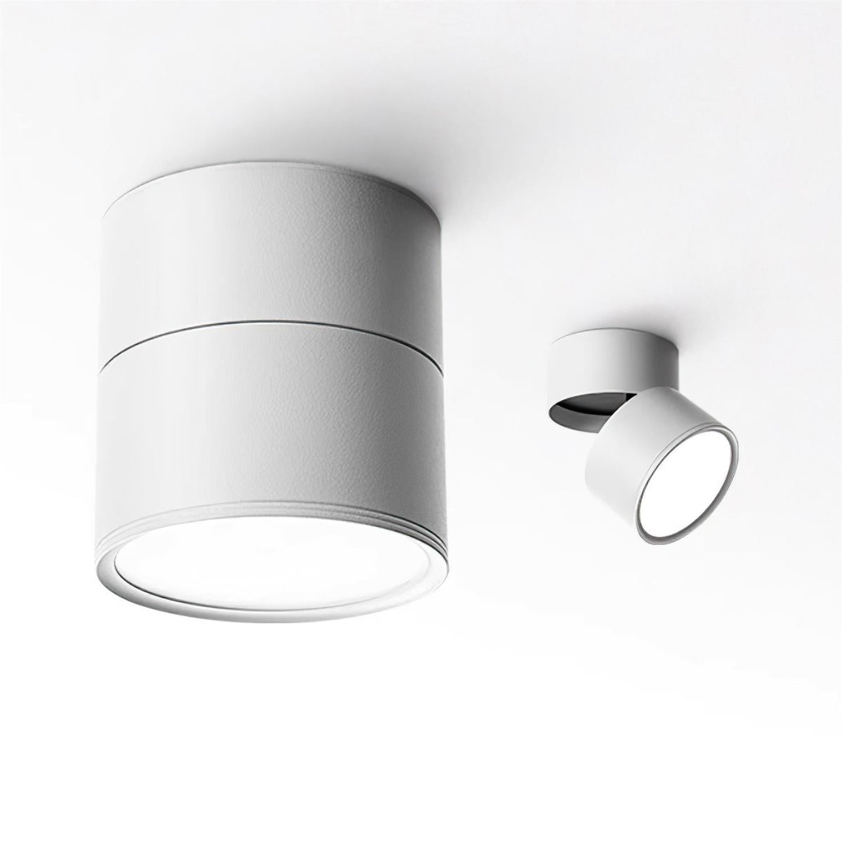 Adjustable Spotlight Ceiling Fixture 4 Inch Rotating LED Light for Artwork Living Room Gallery Black White Aluminum