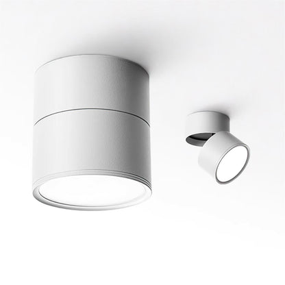 Adjustable Spotlight Ceiling Fixture 4 Inch Rotating LED Light for Artwork Living Room Gallery Black White Aluminum