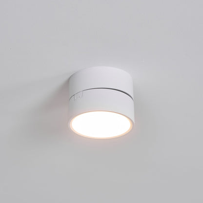 Adjustable Spotlight Ceiling Fixture 4 Inch Rotating LED Light for Artwork Living Room Gallery Black White Aluminum