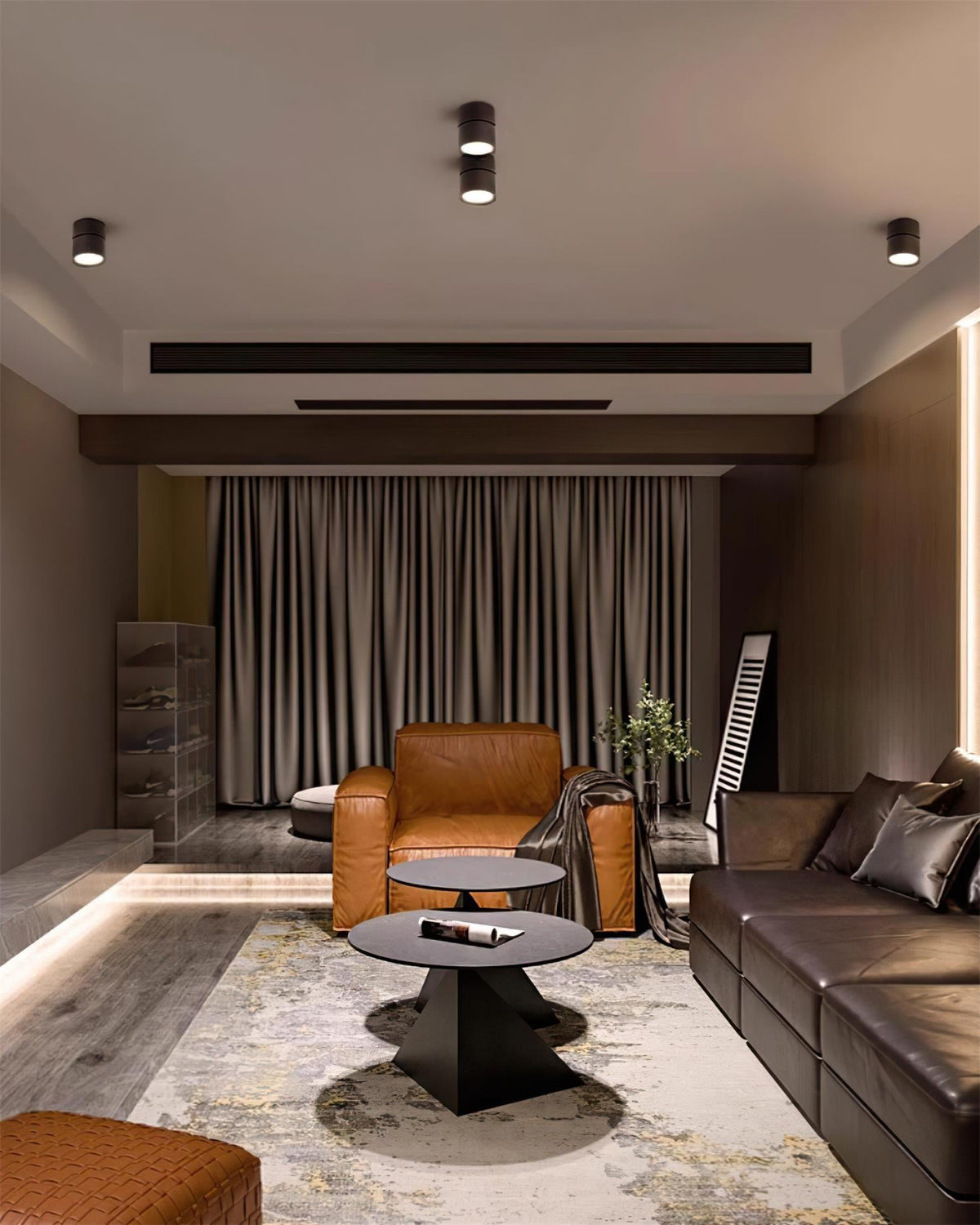 Adjustable Spotlight Ceiling Fixture 4 Inch Rotating LED Light for Artwork Living Room Gallery Black White Aluminum